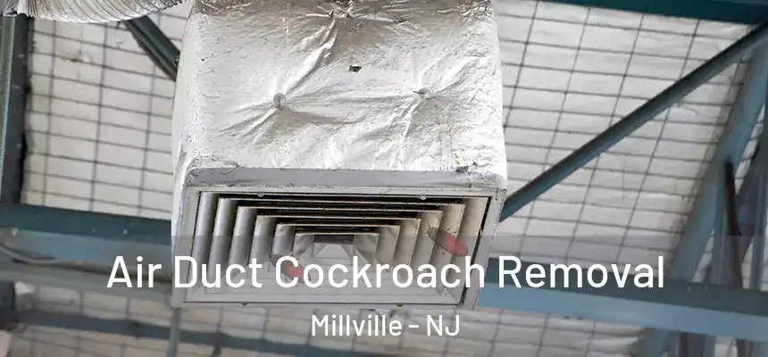 Air Duct Cockroach Removal Millville - NJ