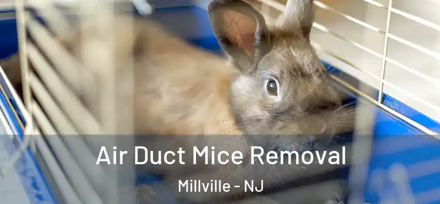  Air Duct Mice Removal Millville - NJ