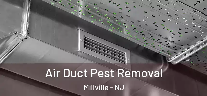  Air Duct Pest Removal Millville - NJ