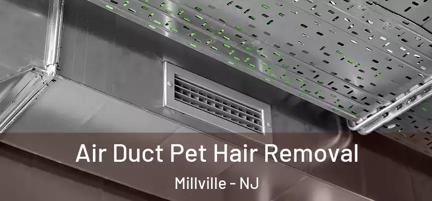  Air Duct Pet Hair Removal Millville - NJ