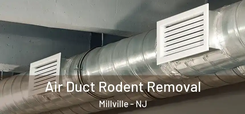  Air Duct Rodent Removal Millville - NJ