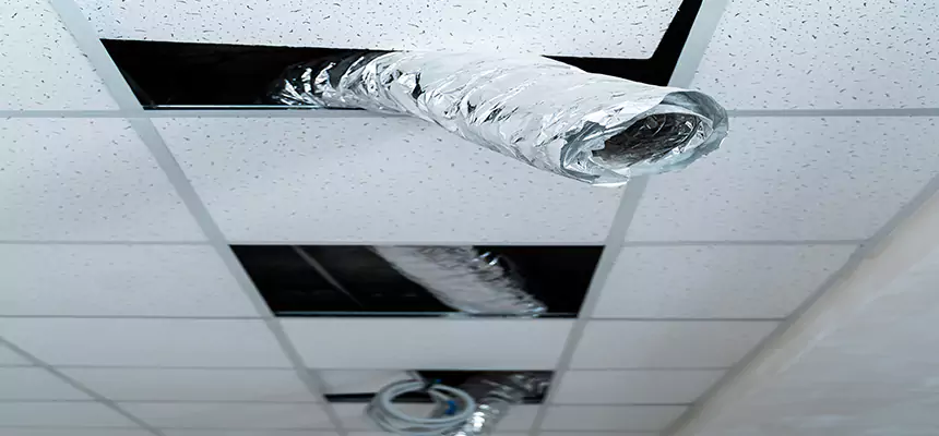 Our Air Duct Pet Hair Removal Services in Millville, NJ