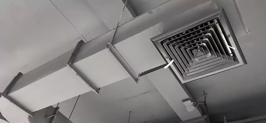 Restorative Allergy Relief Vent Cleaning – Coil, Blower & Housing Detail in Millville