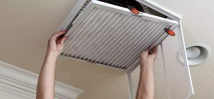 Our Insect Removal from Air Ducts Services in Millville, NJ