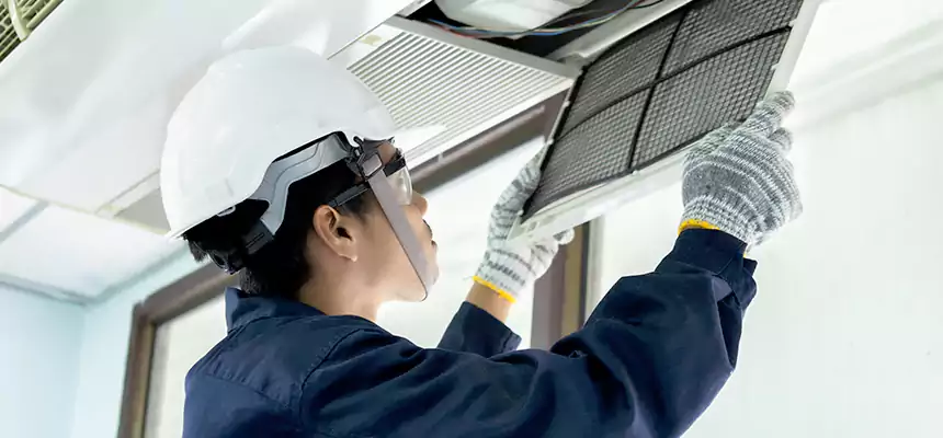 Our Mold & Mildew Removal from Air Ducts Services in Millville, NJ