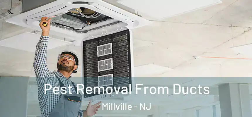  Pest Removal From Ducts Millville - NJ