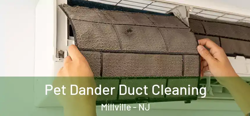 Pet Dander Duct Cleaning Millville - NJ