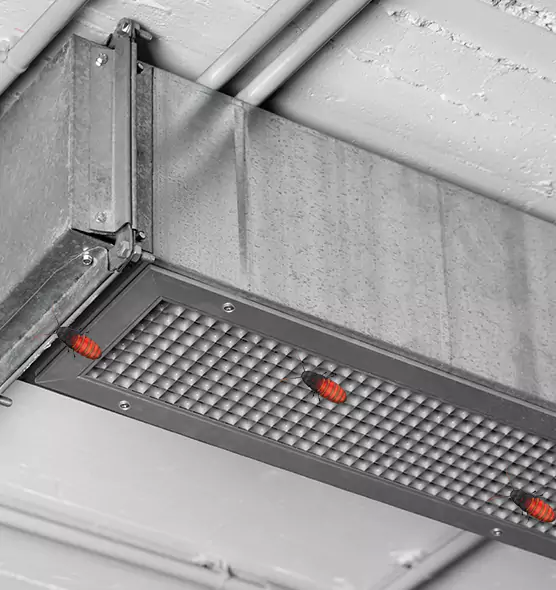 Affordable Insect Removal from Air Ducts in Millville, NJ