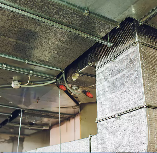 Why Homeowners & Businesses Trust Us in Millville, NJ?