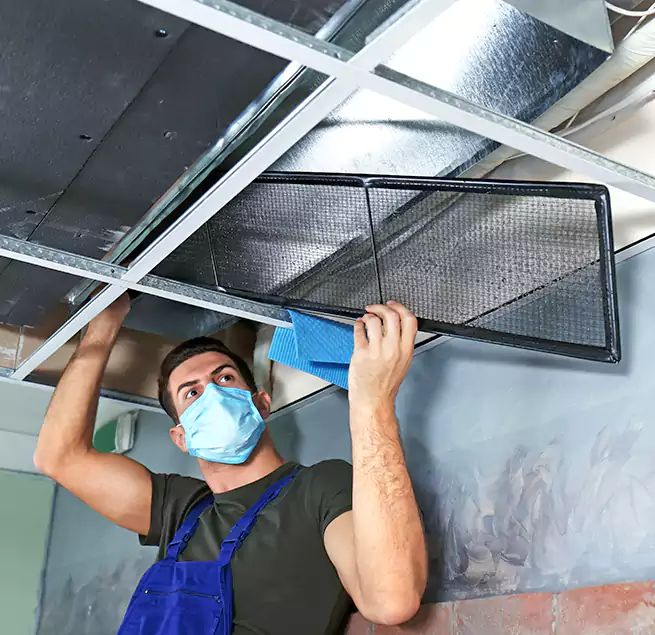 Why Homeowners Businesses Trust Us in Millville, NJ