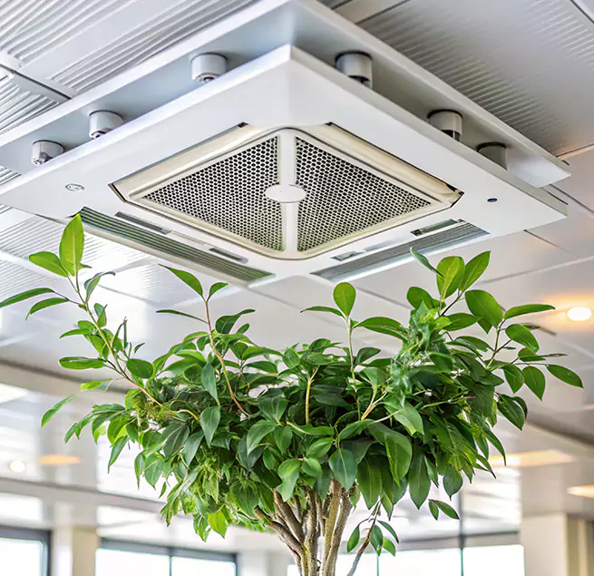 Why Homeowners & Businesses Trust Us in Millville, NJ?